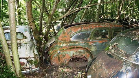Umweltverschmutzung Drei verrostete Autokarossen in einem Waldstück.